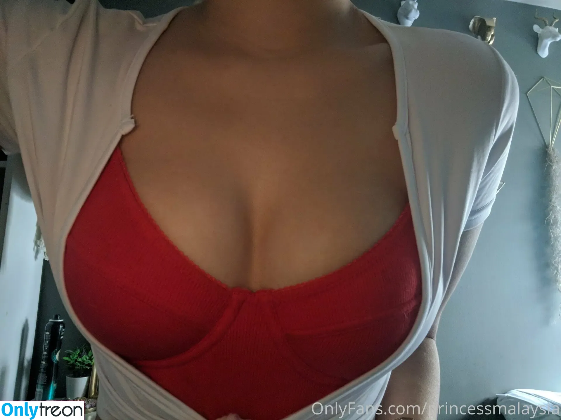 Diana Tarinova nude photo #0337 (Dtarinova / Princess Malaysia / dianaterranova / xoprincessmsia)