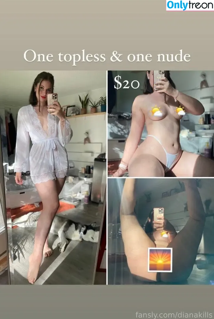 dianakills nude photo #0005 (ShibaHuskeyMom / dianakills_)
