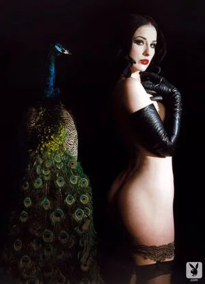 Dita Von Teese / Ditavonteese nude photo #0019