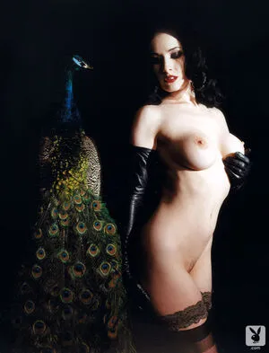 Dita Von Teese / Ditavonteese nude photo #0021