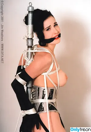 Dita Von Teese / Ditavonteese nude photo #1022