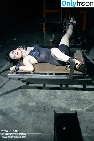 Dita Von Teese / Ditavonteese nude photo #1417