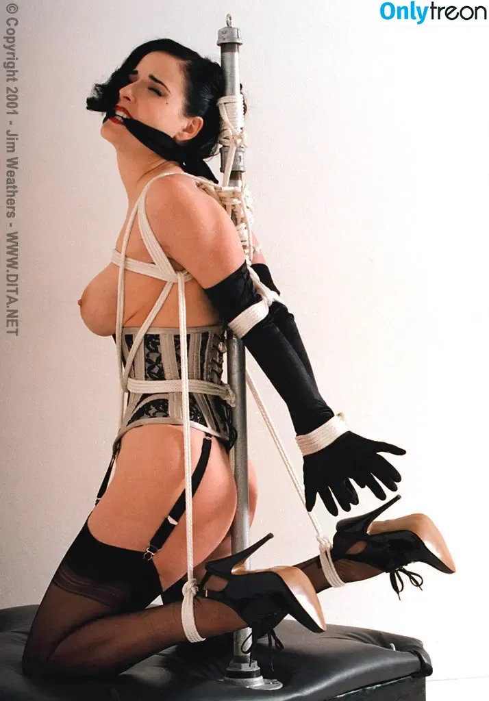 Dita Von Teese nude photo #1018 (Ditavonteese)