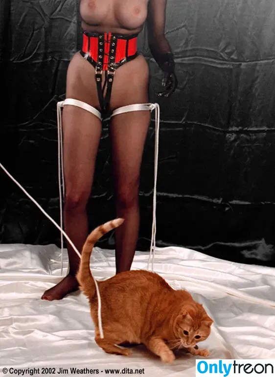 Dita Von Teese nude photo #1344 (Ditavonteese)