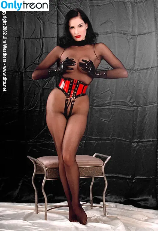 Dita Von Teese nude photo #2087 (Ditavonteese)
