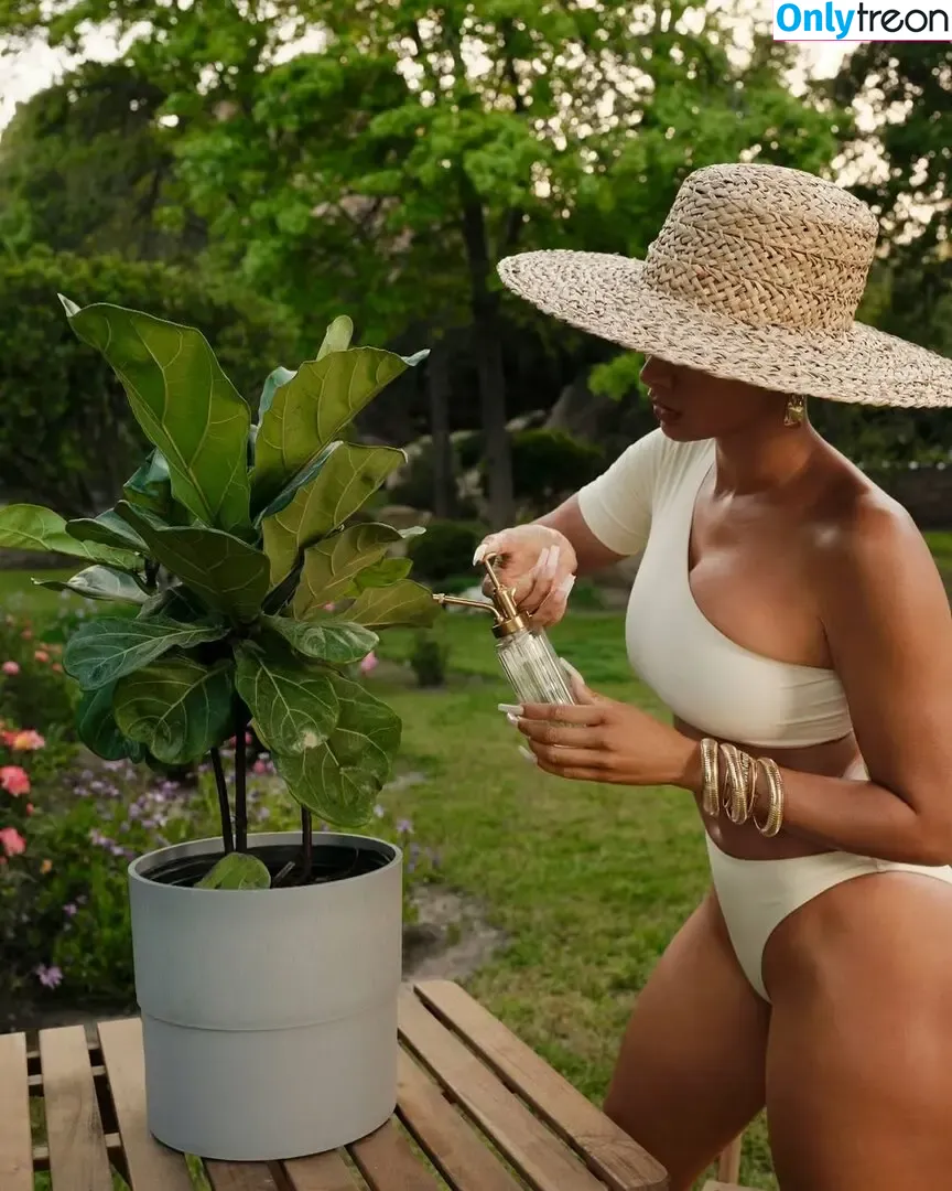 Draya Michele nude photo #0559 (drayamichele)