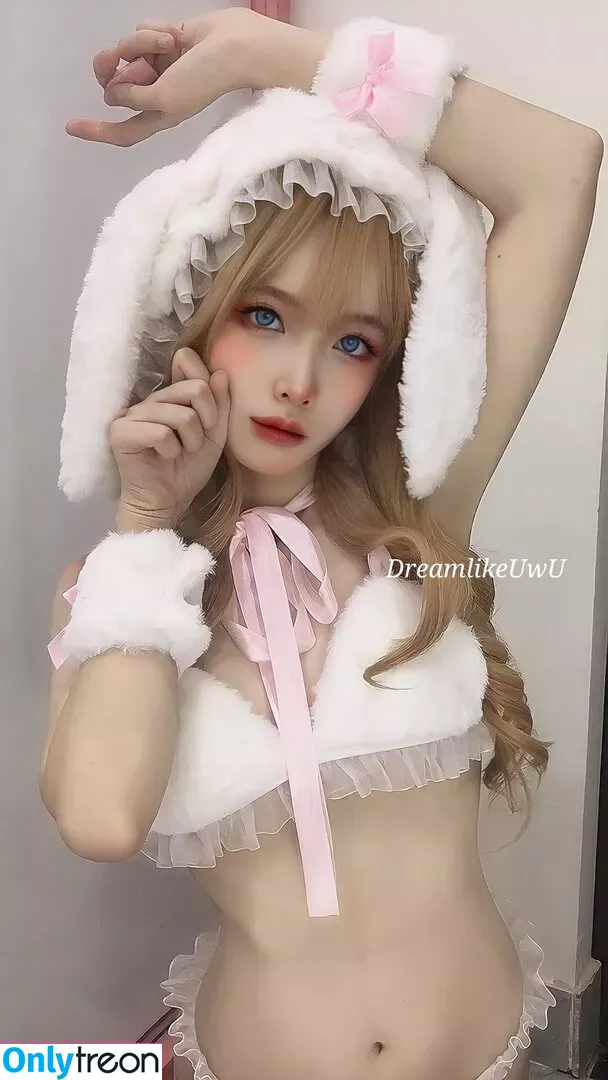 DreamlikeUwU nude photo #0022 (dreamymoo / nba_jujuu)