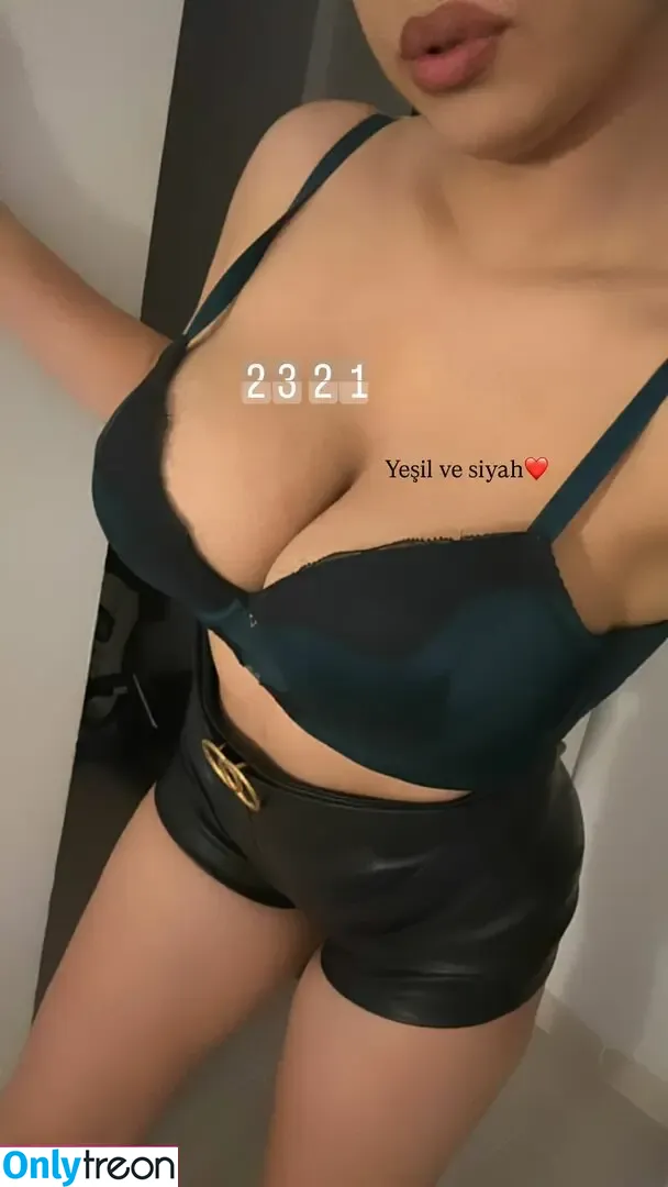 Elif Karaarslan nude photo #0264 (elifkaraarslan_17)