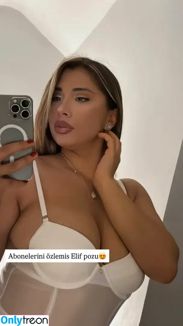 Elif Karaarslan nude photo #0279 (elifkaraarslan_17)