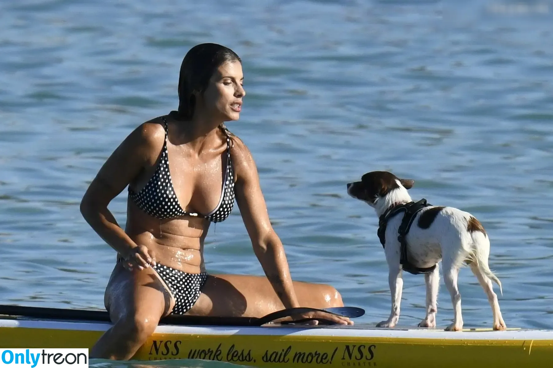 Elisabetta Canalis nude photo #1534 (JustElisabetta / littlecrumb_)