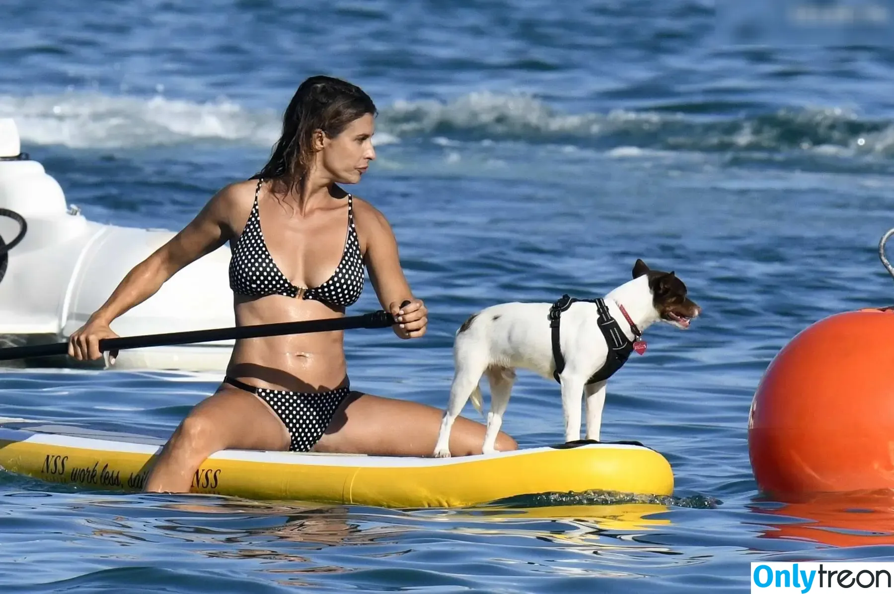 Elisabetta Canalis nude photo #1536 (JustElisabetta / littlecrumb_)