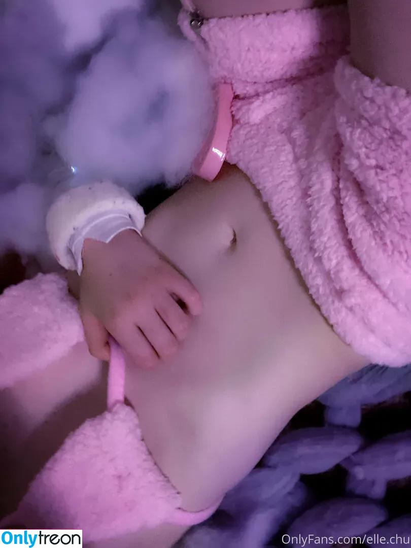elle.chu nude photo #0066 (elle.chu)