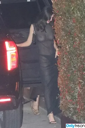 Emily Ratajkowski / emrata nude photo #3649