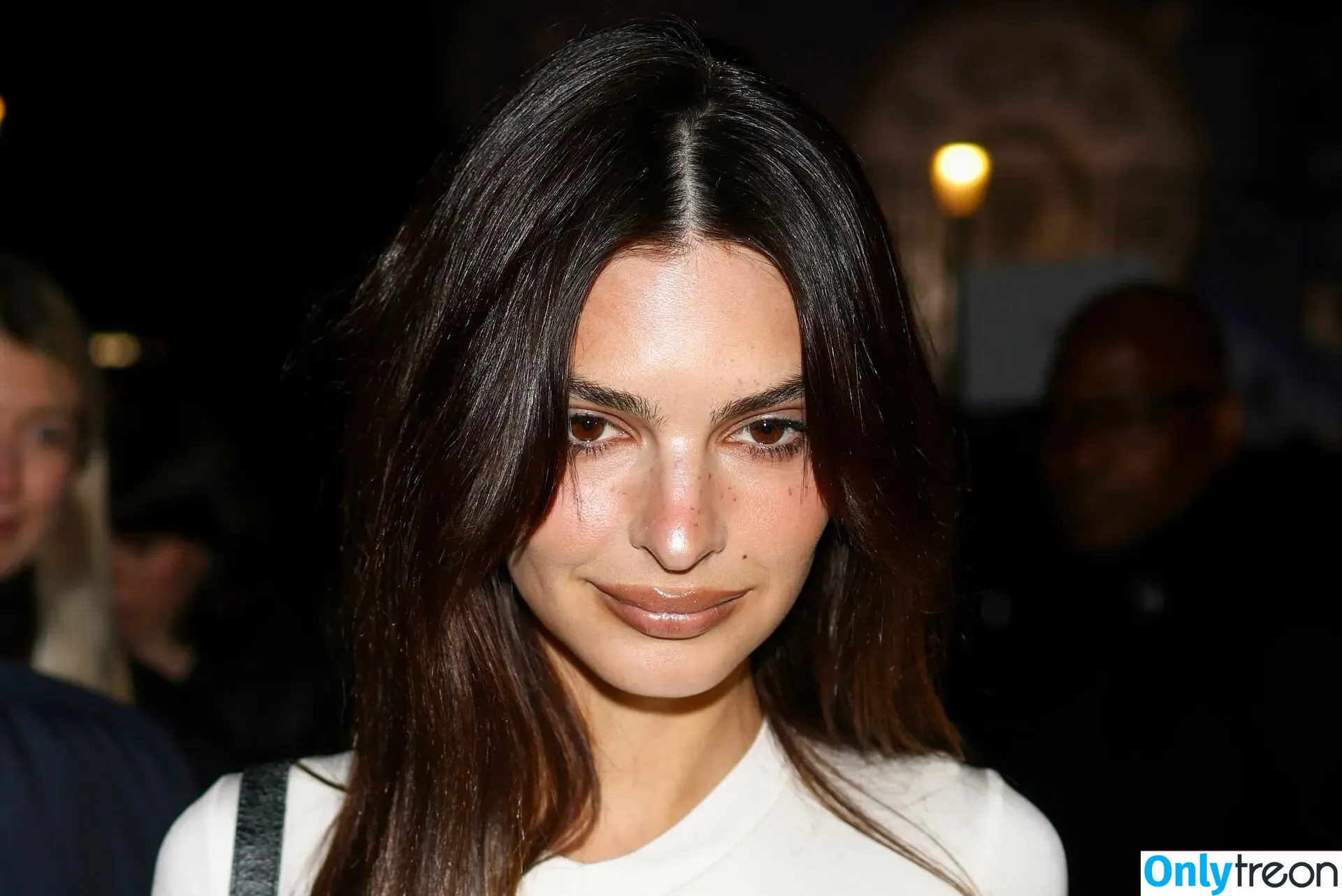 Emily Ratajkowski nude photo #3357 (emrata)