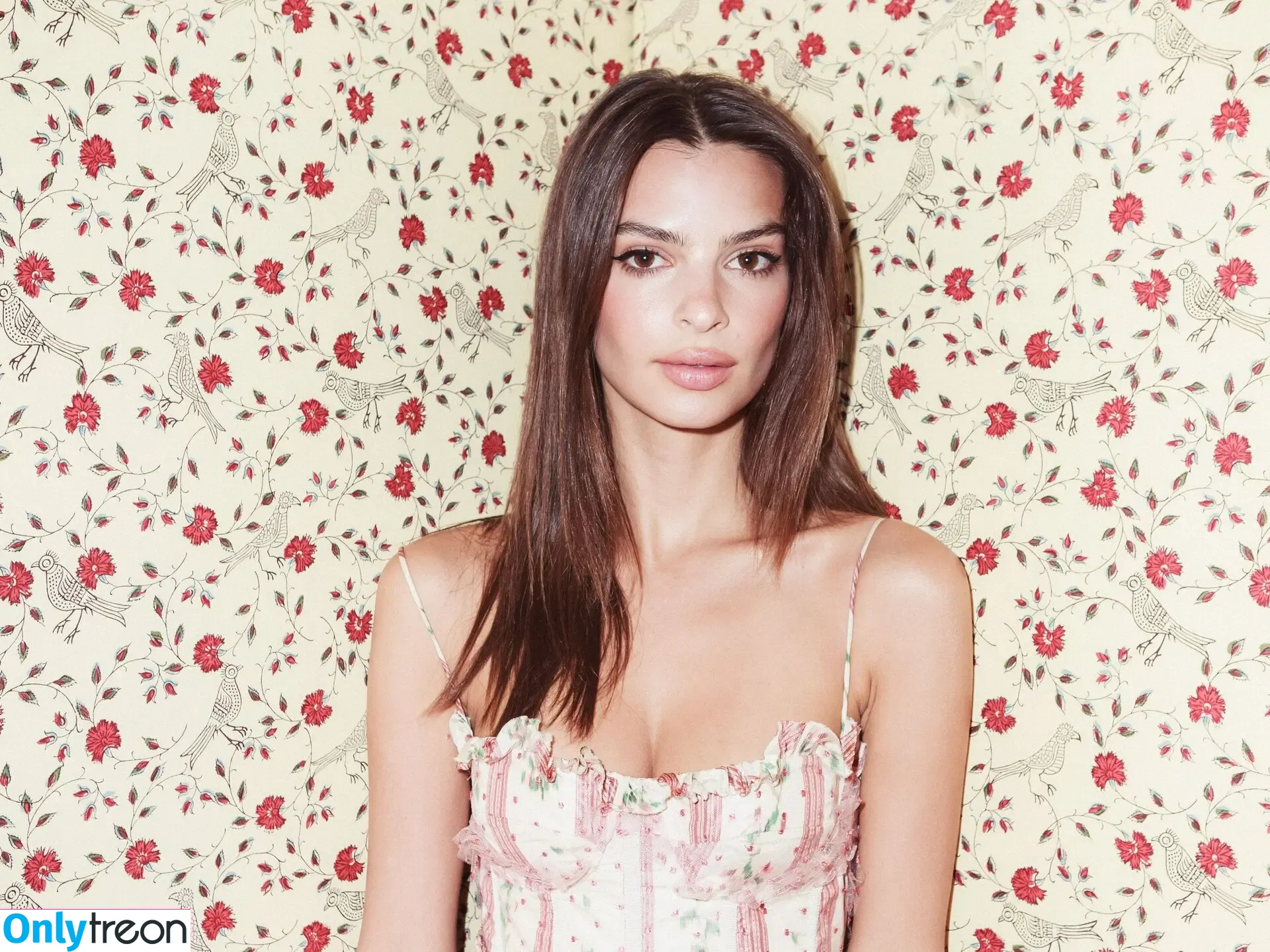 Emily Ratajkowski nude photo #3855 (emrata)