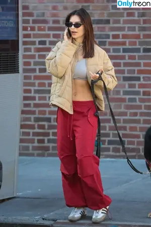 Emily Ratajkowski / emrata nude photo #4358