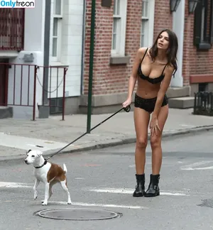 Emily Ratajkowski / emrata nude photo #4424