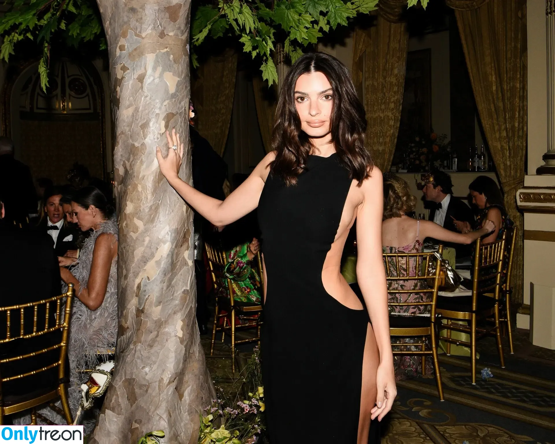Emily Ratajkowski nude photo #4301 (emrata)