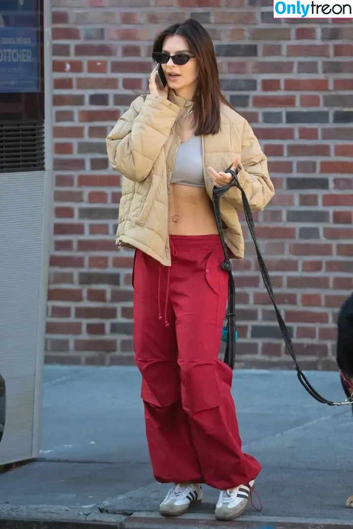 Emily Ratajkowski nude photo #4358 (emrata)