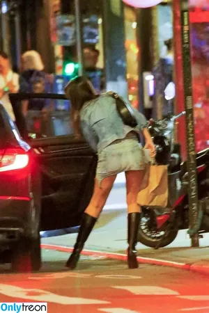 Emily Ratajkowski / emrata nude photo #5039