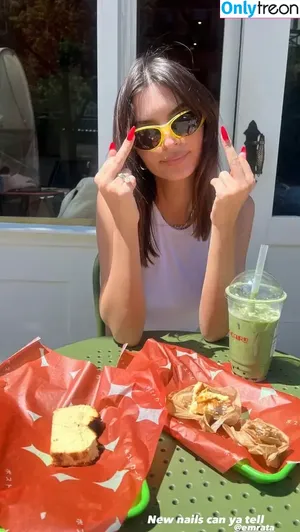 Emily Ratajkowski / emrata nude photo #5459