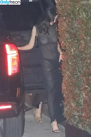 Emily Ratajkowski / emrata nude photo #6032