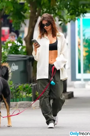 Emily Ratajkowski / emrata nude photo #6868