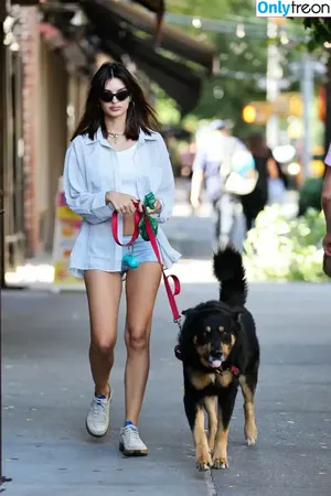 Emily Ratajkowski / emrata nude photo #6890