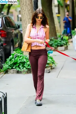 Emily Ratajkowski / emrata nude photo #6939