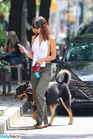 Emily Ratajkowski / emrata nude photo #6993