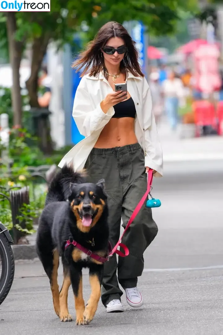Emily Ratajkowski nude photo #6856 (emrata)