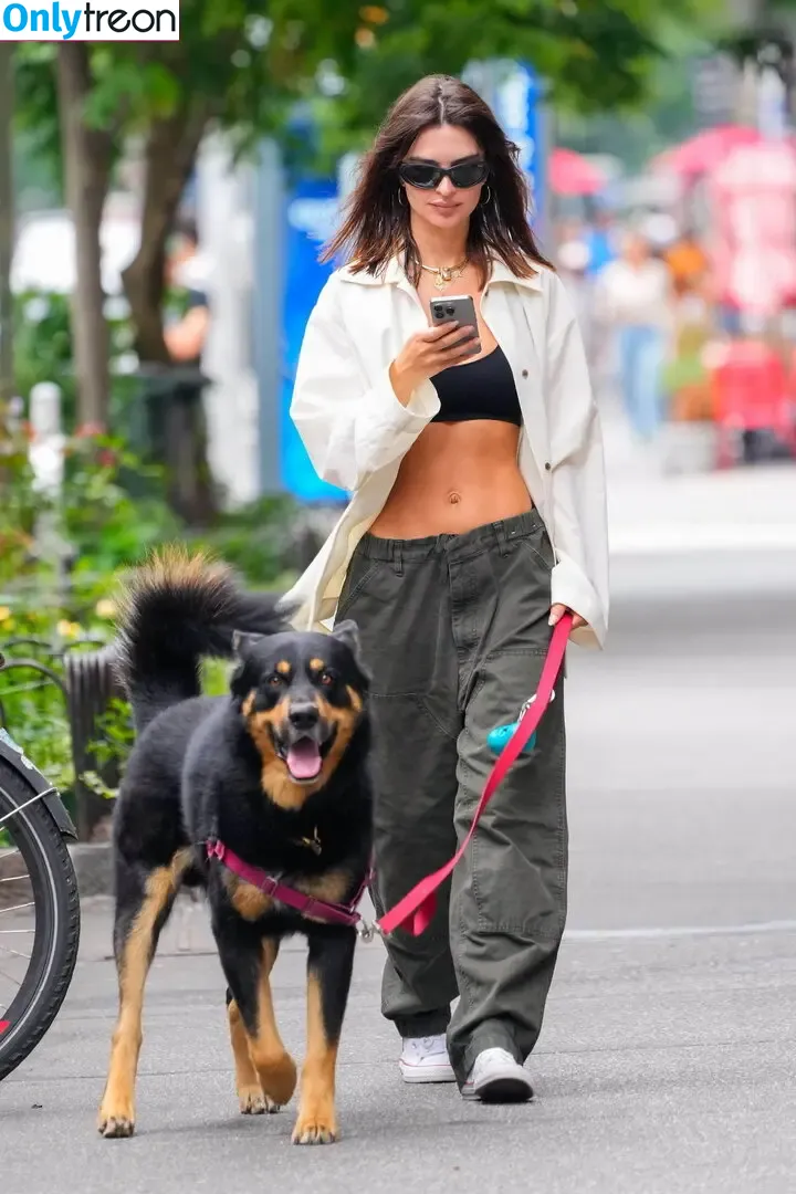 Emily Ratajkowski nude photo #6867 (emrata)