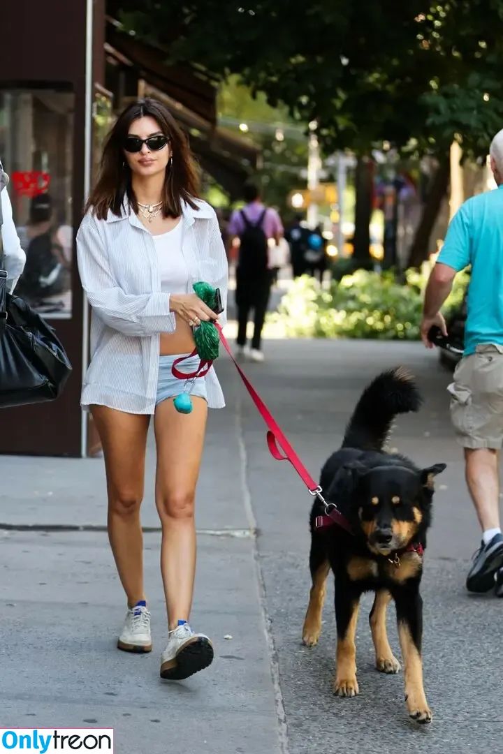 Emily Ratajkowski nude photo #6888 (emrata)