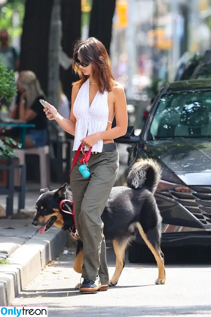 Emily Ratajkowski nude photo #6993 (emrata)