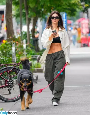 Emily Ratajkowski / emrata nude photo #7039