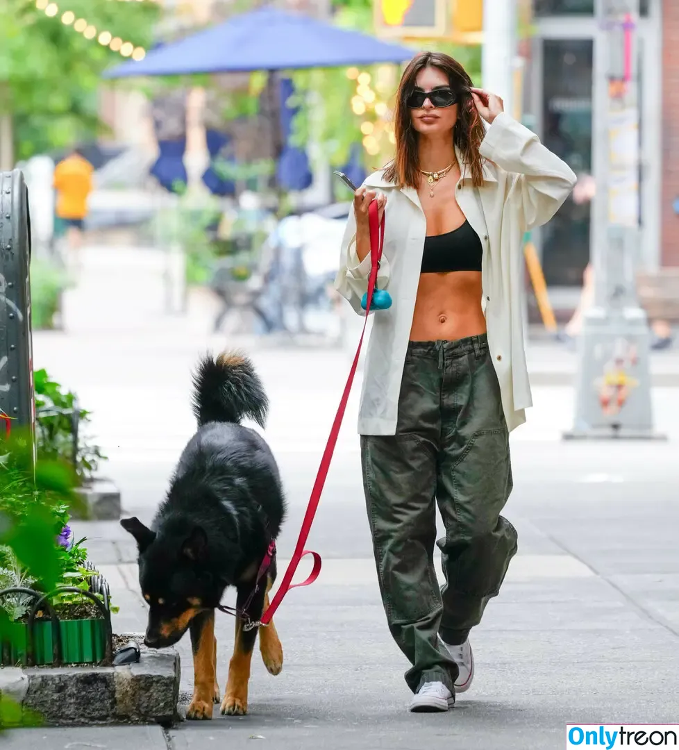 Emily Ratajkowski nude photo #7015 (emrata)