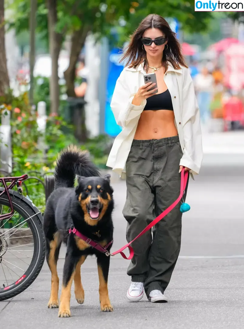Emily Ratajkowski nude photo #7033 (emrata)