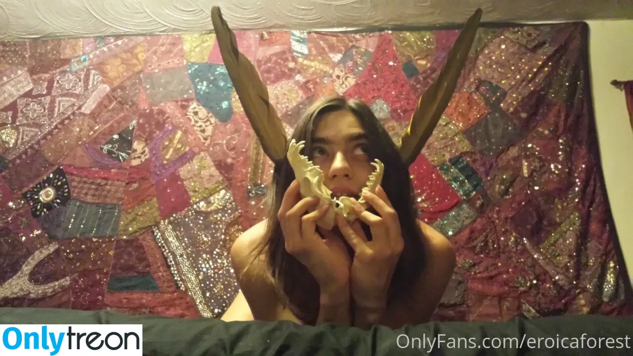 EroicaForest nude photo #0090 (PhoenixFloe / xEroicaForestx)