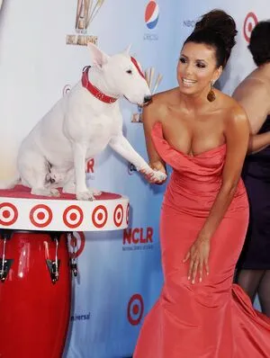Eva Longoria / EvaLongoria nude photo #0498