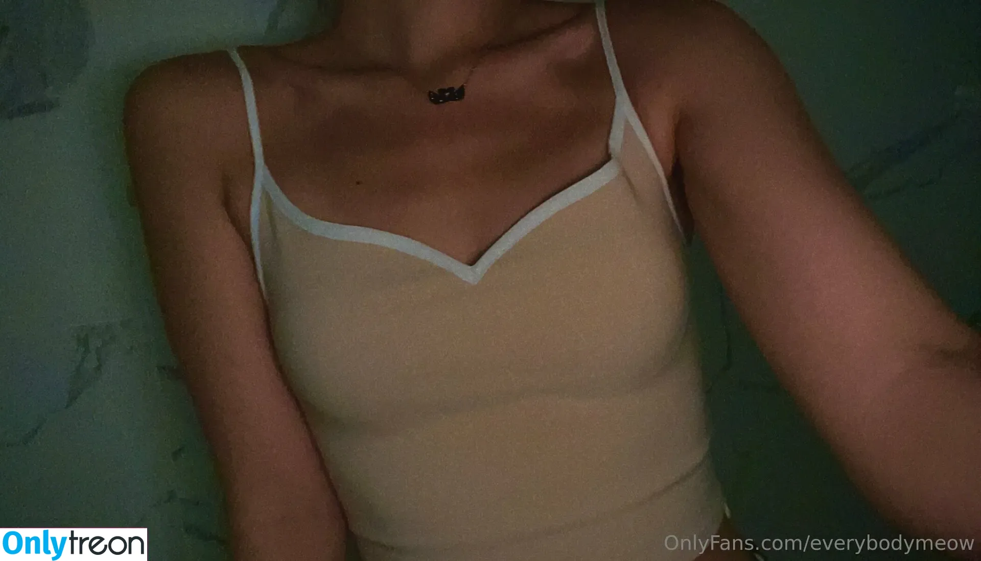 everybodymeow nude photo #0144 (lordbowserthecat)