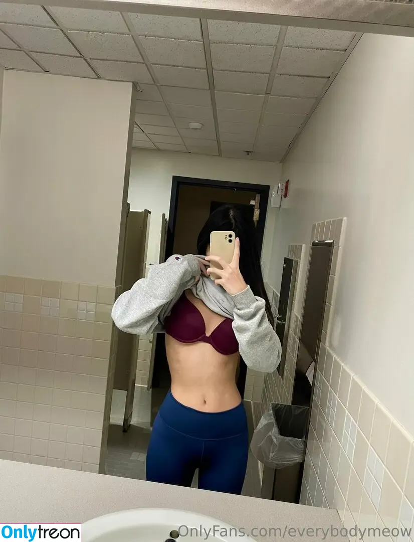everybodymeow nude photo #0156 (lordbowserthecat)