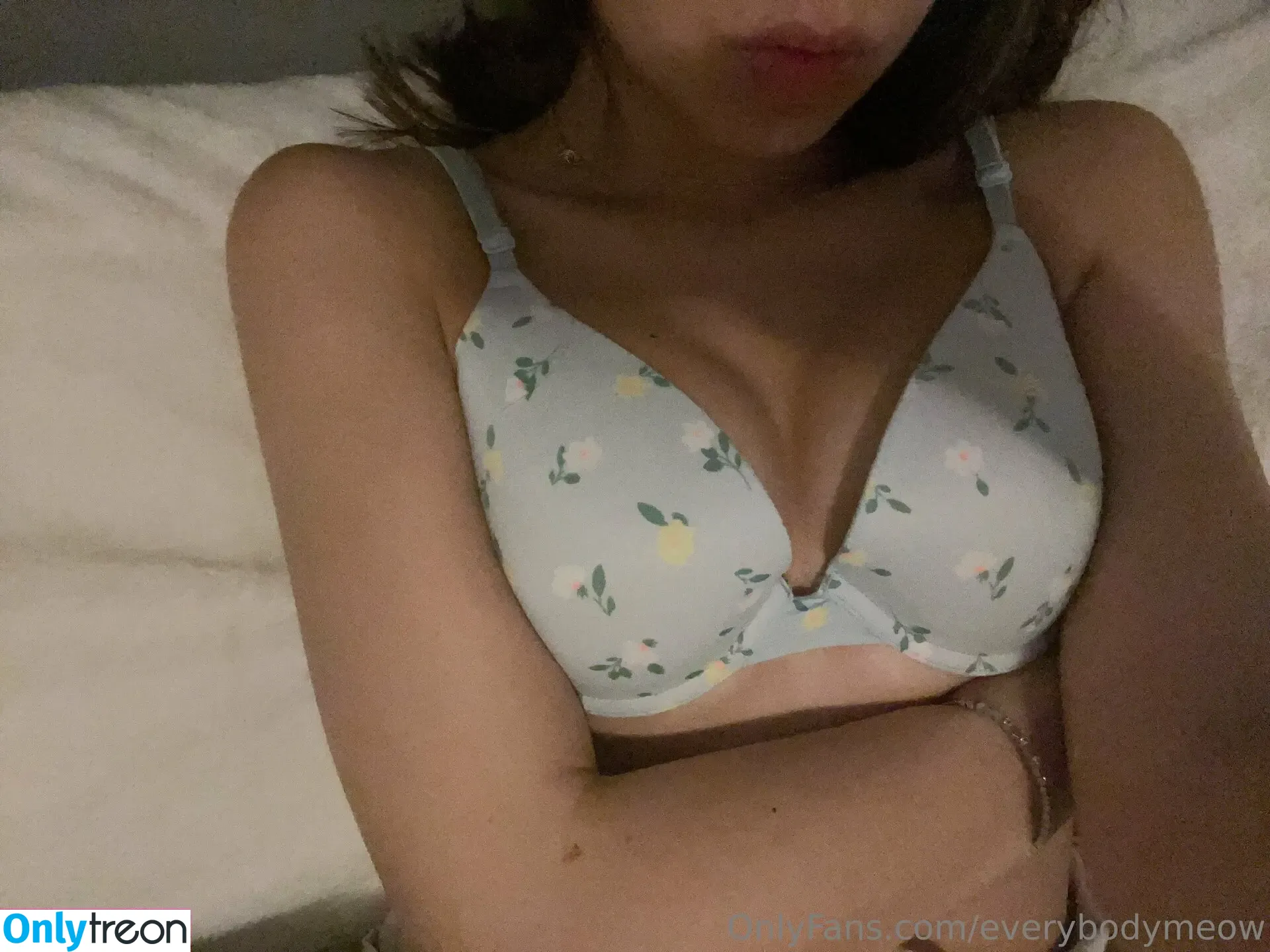 everybodymeow nude photo #0179 (lordbowserthecat)