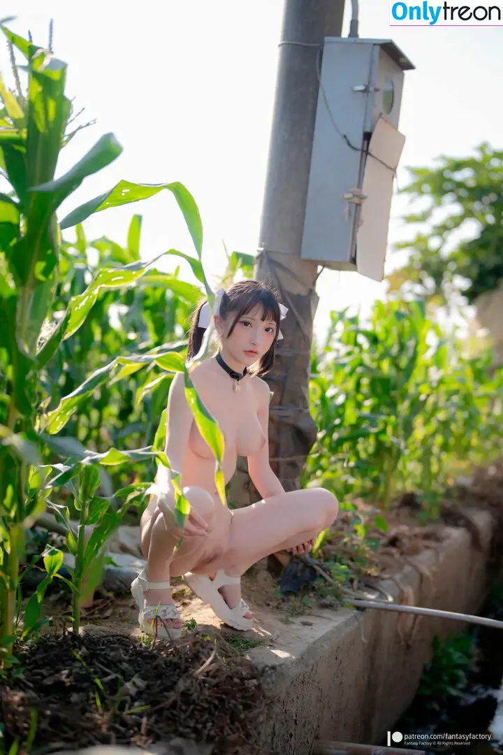 Fantasy Factory nude photo #2687 (fantasyfactory / fantasyfactoryas / komachi)