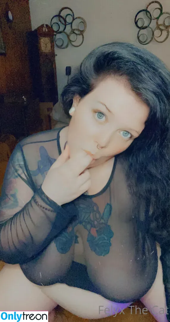 felyxfree nude photo #0001 (felyxfox)