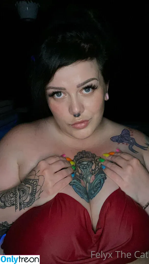 felyxfree nude photo #0003 (felyxfox)