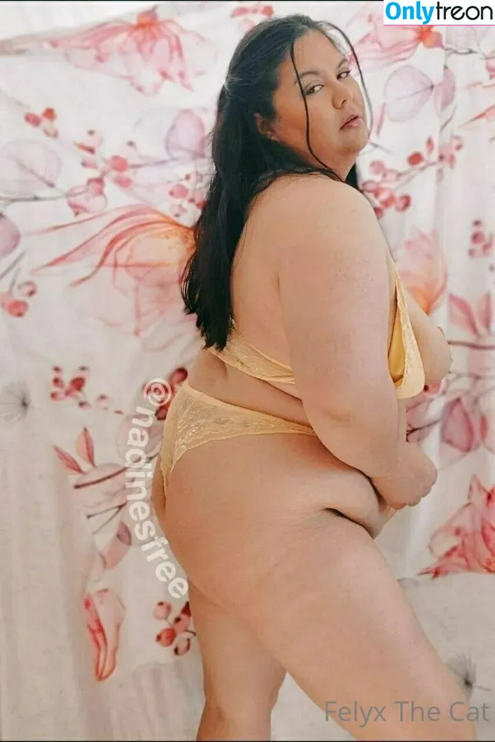 felyxfree nude photo #0007 (felyxfox)