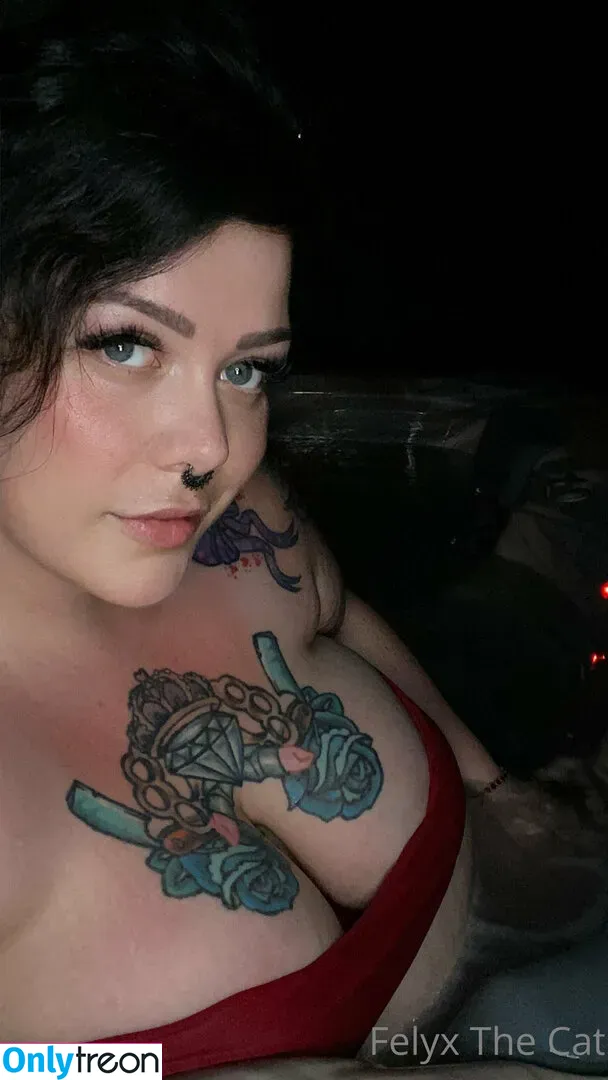 felyxfree nude photo #0012 (felyxfox)