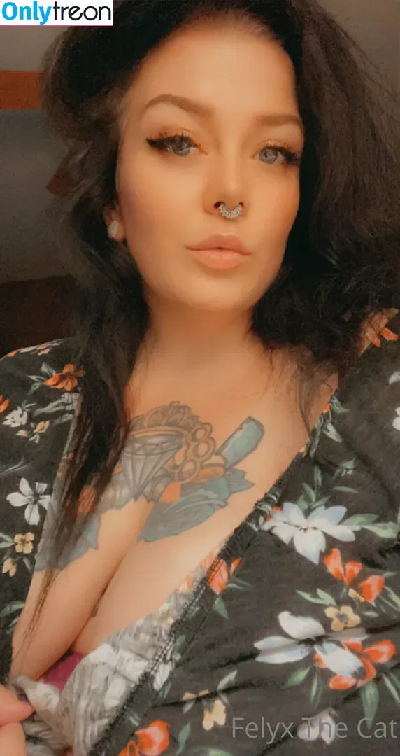 felyxfree nude photo #0016 (felyxfox)