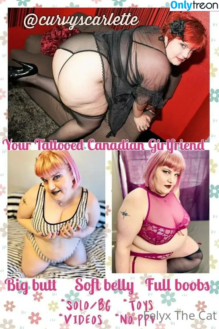 felyxfree nude photo #0040 (felyxfox)
