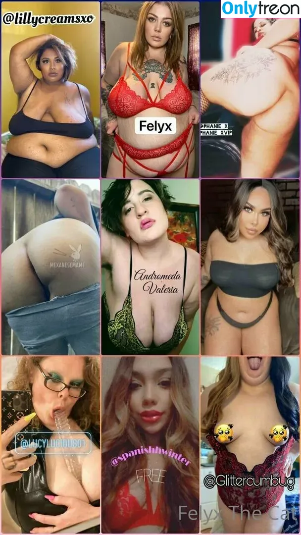 felyxfree nude photo #0101 (felyxfox)